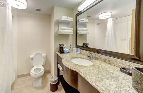 Webster Hotel | Hampton Inn & Suites Houston/Clear Lake-Nasa Area