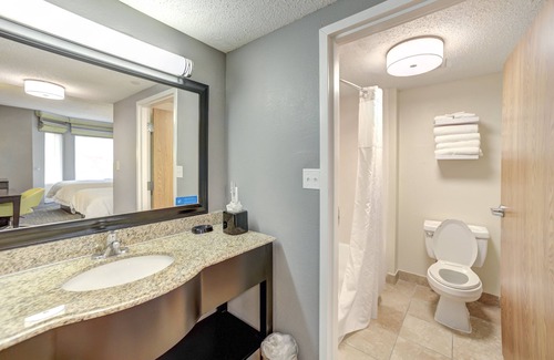 Webster Hotel | Hampton Inn & Suites Houston/Clear Lake-Nasa Area