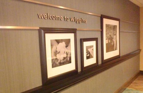 Wiggins Hotel | Hampton Inn & Suites Wiggins