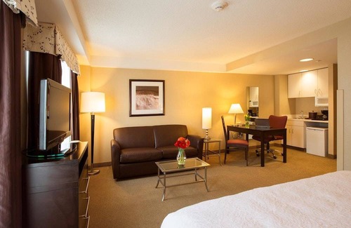 Harrison Lenox Hotel | Hampton Inn & Suites Boston Crosstown Center 1 King Bed Studio Suite