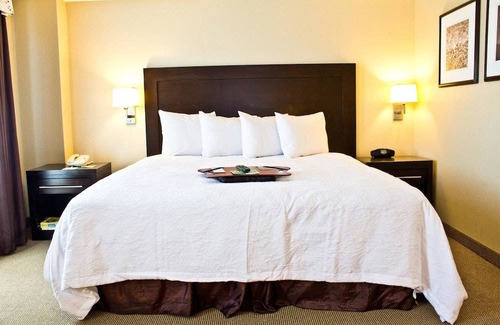Harrison Lenox Hotel | Hampton Inn & Suites Boston Crosstown Center 1 King Bed Studio Suite
