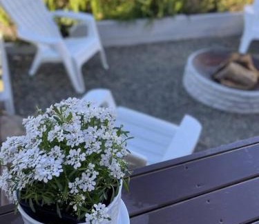 Aberdare House | Hamptons House on Hunter with fire pit