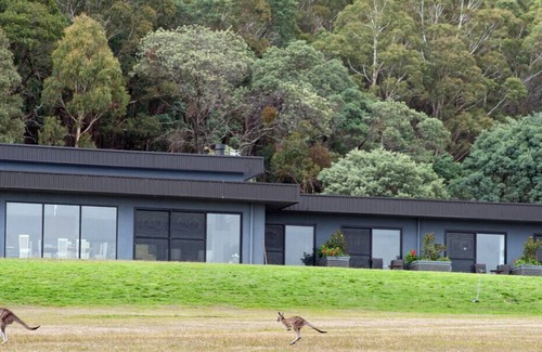 Woodend Apartment | Hanging Rock Views, Queen Suite in classic bush setting