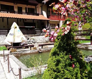 Pestisani House | Hanul Vanatorului
