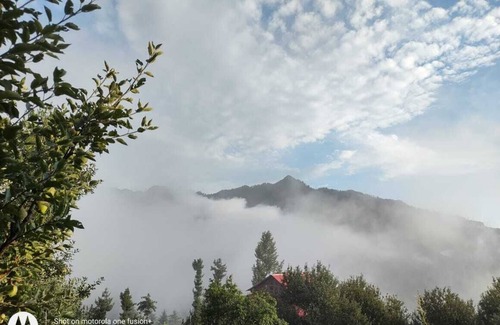 Thunag Cabin | Happy and Peaceful wooden cottage with ample of space in 5 acre of apple orchard