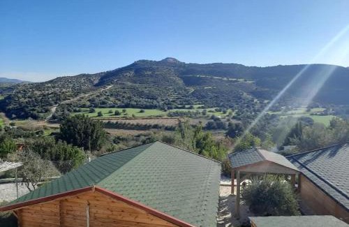 Agios Theodoros Ski Chalet | Happy Glamping Cy