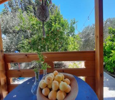Agios Theodoros Ski Chalet | Happy Glamping Cy