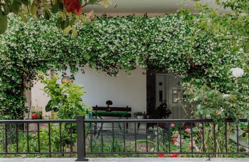 Kavala Apartment | Happy Home