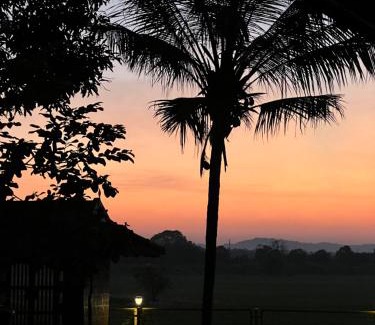 Ottapalam House | Happy Land