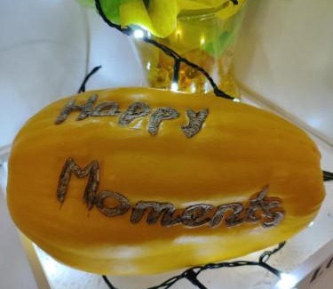 Krapina-Zagorje Apartment | Happy Moments 1