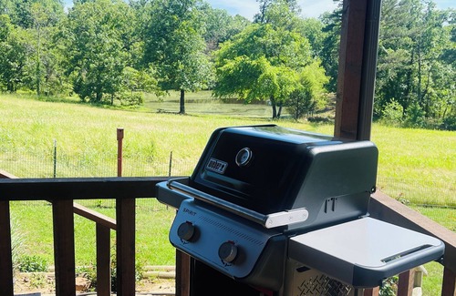 Octavia Cabin | HAPPY TAILS is a cozy pet friendly cabin with beautiful views, fenced yard,WIFI