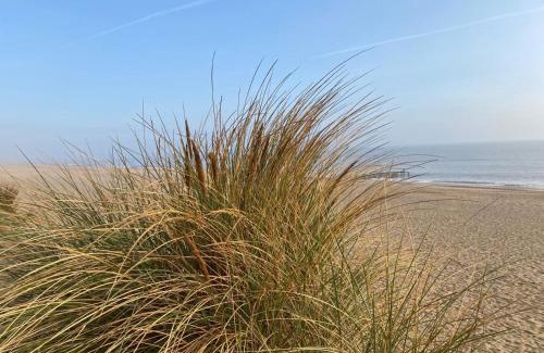 Bacton Resort | Happydaze Caravan