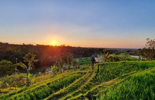 Penebel Cabin | Hara Bali Eco Homestay