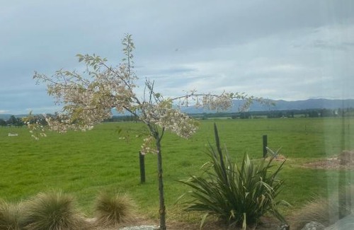 Fairlie House | Harakeke House
