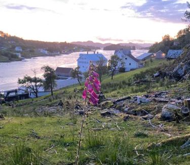 Skjold House | Haraldseidvågen gjestgjevarstad