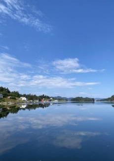 Skjold House | Haraldseidvågen gjestgjevarstad