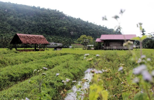 Harau Villa | Harau Valley - Entra Lodge