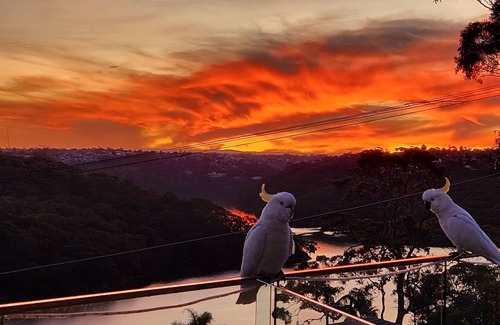 Seaforth House | Harbour Escape - breathtaking views!