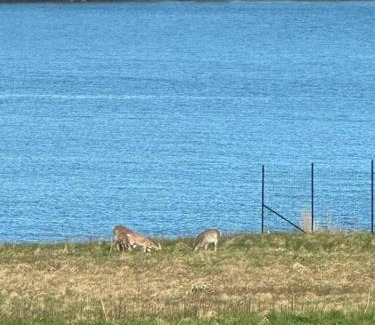 Seawall House | Hard Aground - Ocean View - Pet Friendly! SWH