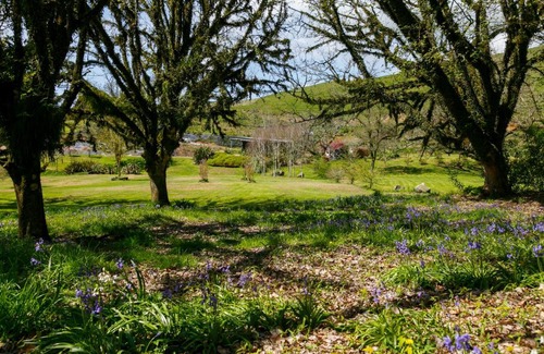 Kinloch Cabin | Hare's Rest