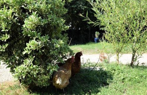 Trowbridge House | Hares Barn