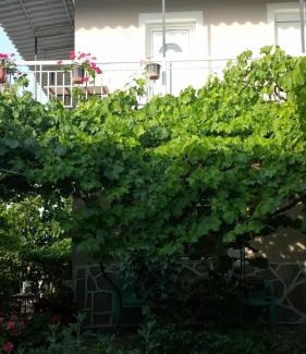 Kavala Apartment | Hariskof garden house