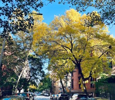 Central Park North Bed & Breakfast | Harlem Grand