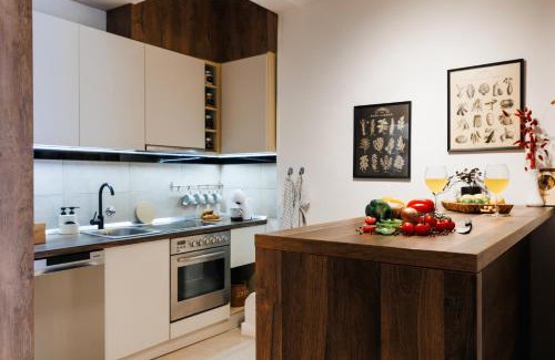 Stari Grad Apartment | Harmonic Nest Old Town Renovated