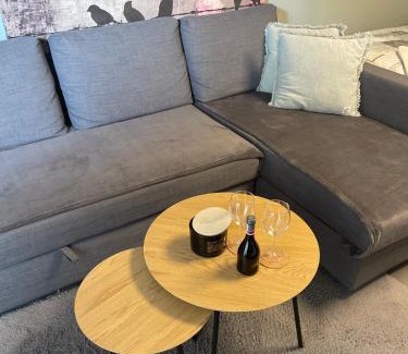 Landskrona Apartment | Harmonie