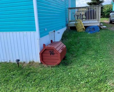 Heart's Delight House | Harry’s House in Heart’s Delight, NL