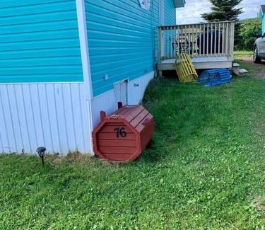Heart's Delight House | Harry’s House in Heart’s Delight, NL