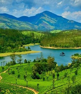 Udumbanchola Villa | Harsham Homestay