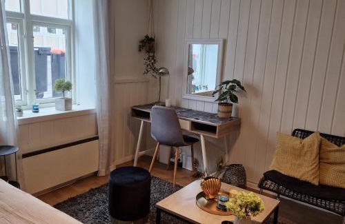 Harstad Apartment | Harstad city studio apartment B.