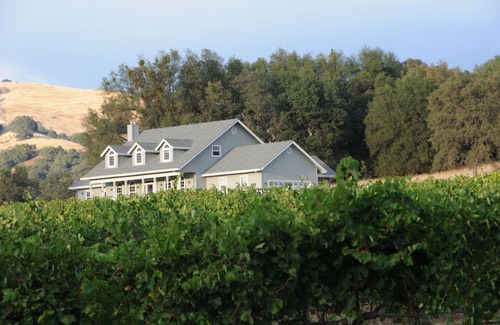 Lotus House | Hart 2 Hart Vineyards Winery Estate Farmhouse: Beauty in Coloma Valley