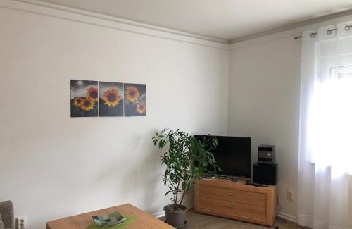 Benneckenstein Apartment | Harzquerbahnblick