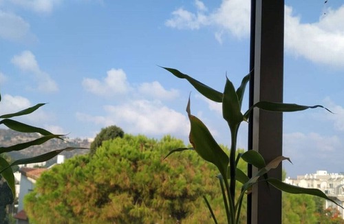 Haifa Apartment | HaSharon 9 minutes from the beach 3 bedrooms