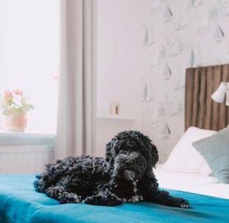 Hasselo Hostel | Hasselö Hostel