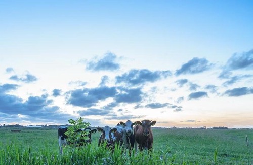 Welt Apartment | Haubarg Windschuur, App. 9