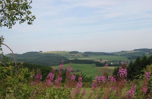 Schoenecken Resort | Haus 1 - Typ B (Blockhaus)