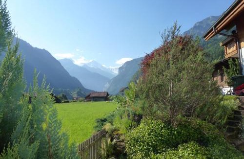 Wilderswil Apartment | Haus Abendberg