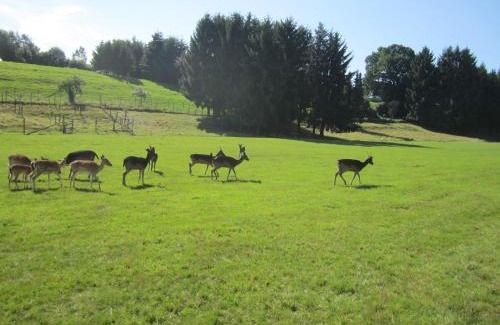 Mechernich Apartment | Haus Alexander
