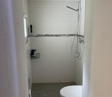 Wassen Apartment | Haus Alpenhof