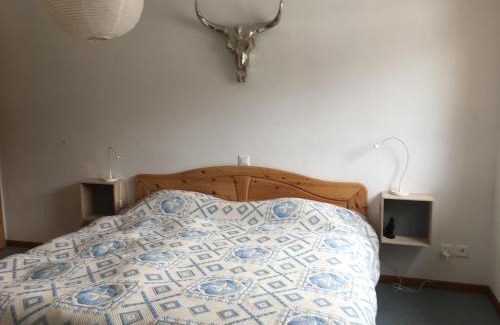 Klosters-Serneus Apartment | Haus am Golfplatz