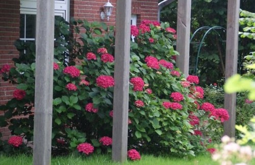 Steinberghaff Apartment | Haus-am-Haff, Klevelücke