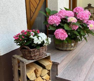 Dorrenbach House | Haus am Kastanienwald