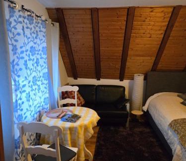 St. Blasien Apartment | Haus am Scheibenfelsen