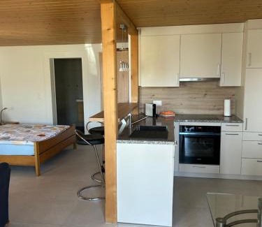 Darligen Apartment | Haus am See II