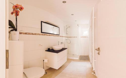 Dingolshausen Apartment | Haus am Zabelstein