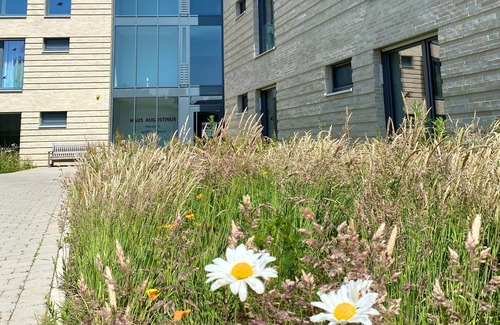 Amelsburen Apartment | Haus Augustinus