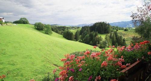 Oy-Mittelberg Apartment | Haus Bergblick